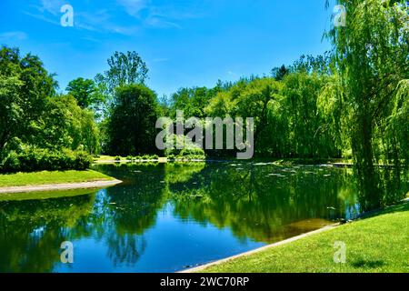 Lago con gli alberi Foto Stock