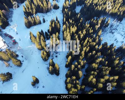 Vista aerea della foresta montuosa di conifere in inverno dorato alla luce del sole a Vitosha, Bulgaria Foto Stock