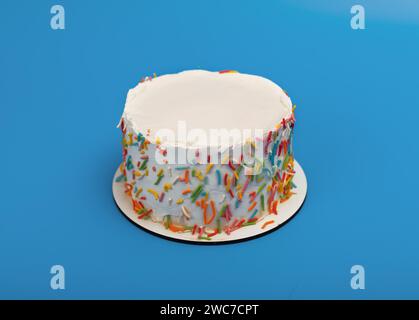 Tappo bianco per torta bento, dessert in miniatura, dolce dolce decorato con spruzzi colorati Foto Stock