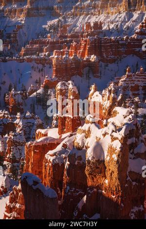 Gli hoodoos illuminano la luce dell'alba al Sunset Point nel Bryce Canyon National Park nello Utah Foto Stock