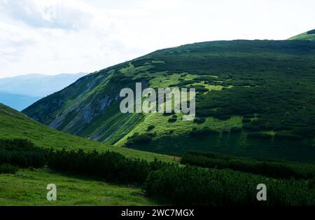 Dettaglio delle Alpi in Austria , Schneeberg Foto Stock