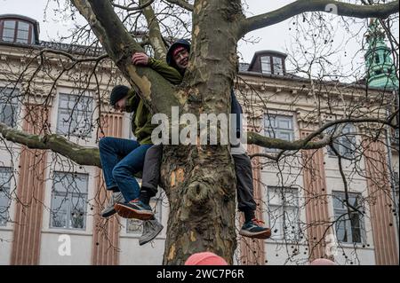 Copenhagen, Danimarca. 14 gennaio 2024. Due ragazzi che scalano un albero per guardare la proclamazione al palazzo di Christiansborg. Credeit: Stig Alenäs/Alamy Live news Foto Stock