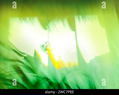 Albero di palma di cocco sfocato astratto sotto il cielo blu sulla spiaggia tropicale Foto Stock