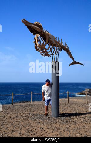 Scheletro di balena conservato (balena dal becco di Cuvier - ziphius caviostris) in mostra, El Cotillo, Fuerteventura, Isole Canarie, Spagna. Presa nel novembre 2023 Foto Stock