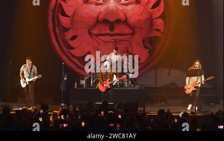 Fall Out Boy - Joe Trohman, Andy Hurley, Patrick Stump e Pete Wentz si esibiscono sul palco dell'alter EGO iHeartRadio del 2024 all'Honda Center il 13 gennaio 2024 ad Anaheim, California. Foto: C Flanigan/imageSPACE Foto Stock