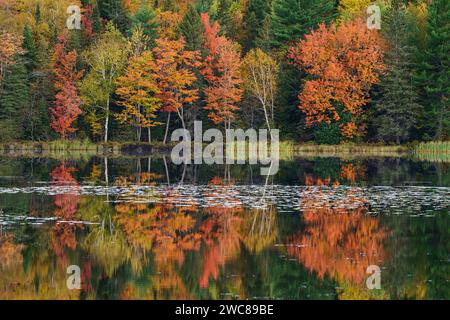 I vivaci colori autunnali si riflettono nel lago Council nella foresta nazionale di Michigans Hiawatha Foto Stock