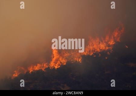 Santiago, metropolitana, Cile. 14 gennaio 2024. Un incendio boschivo consuma una collina a Santiago, Cile. (Immagine di credito: © Matias Basualdo/ZUMA Press Wire) SOLO USO EDITORIALE! Non per USO commerciale! Foto Stock