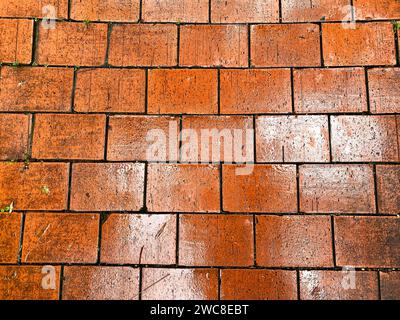 Sfondo ruvido e grunge che mostra un antico muro di pietra. Foto Stock