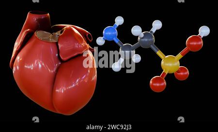 rendering 3d dell'acido 2-amminoetansulfonico o della molecola di taurina e del cuore umano, Foto Stock