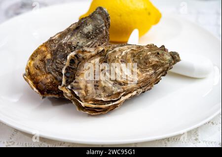 Molluschi di ostriche francesi, olandesi, del pacifico o giapponesi, taglia 1, serviti con limone fresco e pesce crudo Foto Stock