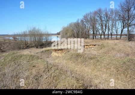 La primavera è piena sul campo Foto Stock