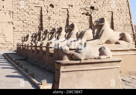 Famoso vicolo di sfingi con teste di ariete nel tempio di Karnak, Luxor. Vicolo di sfingi a testa di ariete diretti all'ingresso principale del complesso del Tempio di Karnak Foto Stock