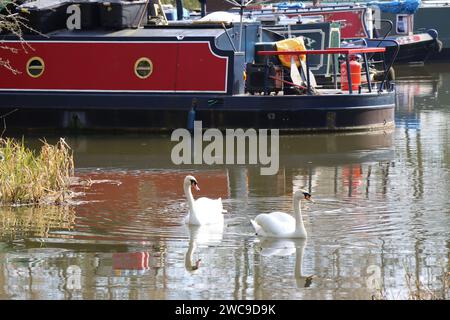 Scene del canale di Pocklington Foto Stock