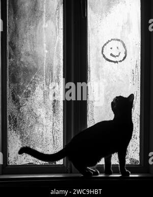 Giovane gatto che guarda fuori dalla finestra nebbiosa di una casa rurale d'epoca, in piedi sul davanzale, curioso di emoji felice disegnato a mano. Mattinata fredda Foto Stock