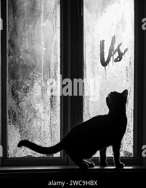 Giovane gatto che guarda fuori dalla finestra nebbiosa di una casa rurale d'epoca, in piedi sul davanzale, curioso di noi inscrizione scritta a mano. Mattinata fredda Foto Stock