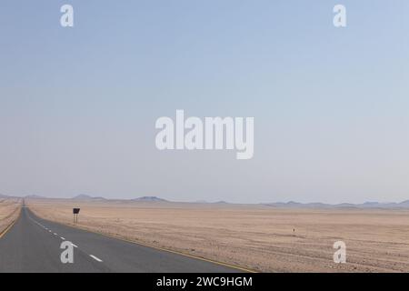 Una strada isolata si snoda attraverso un vasto paesaggio desertico Foto Stock