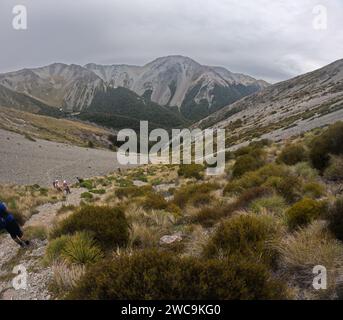 Il Craigieburn Forest Park si estende dal fiume Waimakariri al fiume Wilberforce con fiumi intrecciati, valli di faggio, praterie di tussock e scr alpino Foto Stock