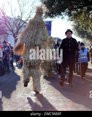 Whittlesey, Regno Unito. 13 gennaio 2024. Il festival dell'orso di paglia di Whittlesea celebra la vecchia usanza dell'aratro di Fenland di far sfilare gli orsi di paglia in giro per la città ogni gennaio. La processione, guidata dall'Orso di paglia, ha più di 250 ballerini, musicisti e artisti che eseguono danze tradizionali Molly, Morris, Clog e Sword. Whittlesea Straw Bear Festival, Whittlesey, Cambridgeshire, il 13 gennaio 2024. Credito: Paul Marriott/Alamy Live News Foto Stock