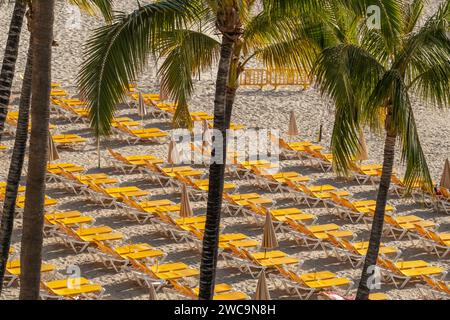 File di lettini sulla spiaggia tropicale di sabbia bianca con palme Foto Stock