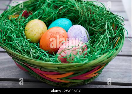 Tradition, Osterbrauch, gefärbte Eier in verschiedenen Farben liegen im Osternest Osterbrauch *** tradizione, usanza pasquale, uova colorate in diversi colori giacciono nell'usanza pasquale pasquale Foto Stock