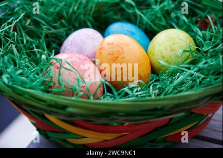 Tradition, Osterbrauch, gefärbte Eier in verschiedenen Farben liegen im Osternest Osterbrauch *** tradizione, usanza pasquale, uova colorate in diversi colori giacciono nell'usanza pasquale pasquale Foto Stock