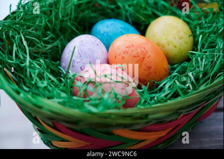 Tradition, Osterbrauch, gefärbte Eier in verschiedenen Farben liegen im Osternest Osterbrauch *** tradizione, usanza pasquale, uova colorate in diversi colori giacciono nell'usanza pasquale pasquale Foto Stock