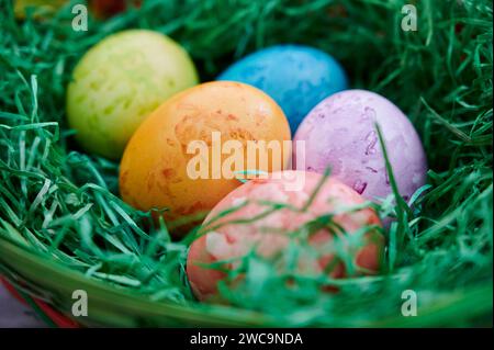 Tradition, Osterbrauch, gefärbte Eier in verschiedenen Farben liegen im Osternest Osterbrauch *** tradizione, usanza pasquale, uova colorate in diversi colori giacciono nell'usanza pasquale pasquale Foto Stock