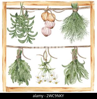 Acquerello di erbe e spezie appese sulla griglia di asciugatura illustrazione. Oggetti alimentari dipinti a mano: rosmarino, prezzemolo, origano, timo, cipolla, daisy bouqu Foto Stock