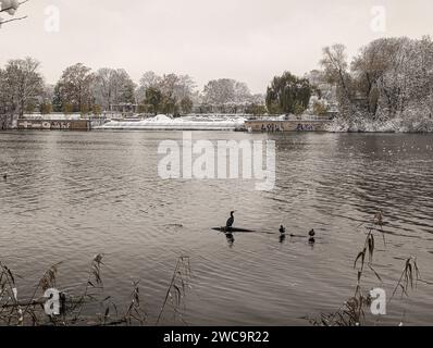 Un tranquillo scenario invernale, caratterizzato da un pittoresco lago con uccelli acquatici Foto Stock