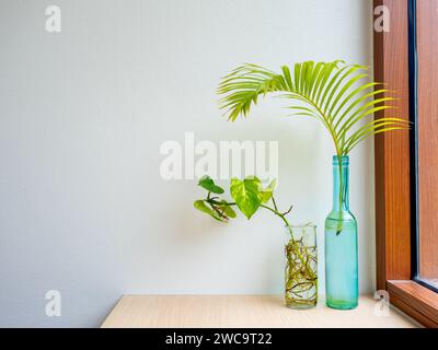 Foglie di palma tropicali verdi in bottiglia di vetro blu e betel maculato in decorazione contenitore di plastica trasparente su tavolo di legno e sfondo bianco della parete Foto Stock