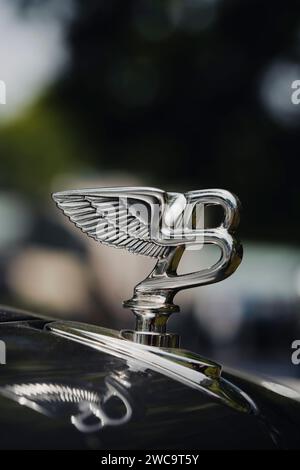 Como, Italia - 22 maggio 2022: Primo piano immagine editoriale illustrativa della statuetta del logo Bentley su un'auto. Foto Stock