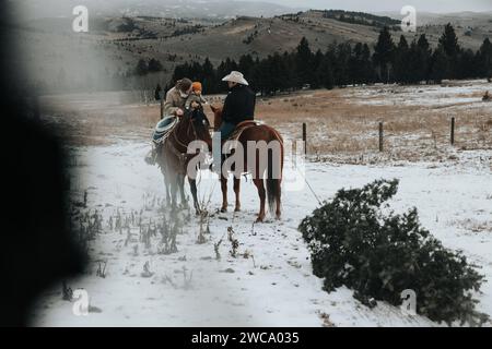 Papà cavalca a cavallo, tirando l'albero; la mamma tiene il bambino in viaggio natalizio Foto Stock