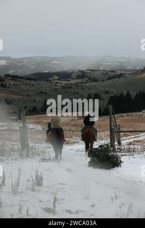 Papà cavalca a cavallo, tirando l'albero; la mamma tiene il bambino in viaggio natalizio Foto Stock