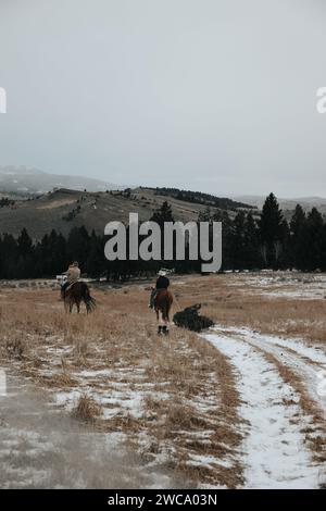 Papà cavalca a cavallo, tirando l'albero; la mamma tiene il bambino in viaggio natalizio Foto Stock