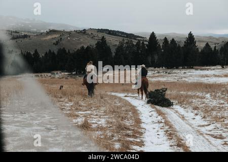 Papà cavalca a cavallo, tirando l'albero; la mamma tiene il bambino in viaggio natalizio Foto Stock