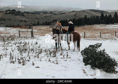 Papà cavalca a cavallo, tirando l'albero; la mamma tiene il bambino in viaggio natalizio Foto Stock