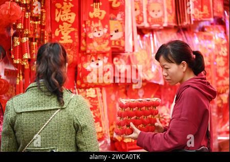 Nanning, Cina. 15 gennaio 2024. La gente sta comprando lanterne e altri ornamenti mascotte con elementi di drago in una tradizionale strada cinese per lo shopping di Capodanno a Nanning, in Cina, il 14 gennaio 2024. (Foto di Costfoto/NurPhoto) credito: NurPhoto SRL/Alamy Live News Foto Stock