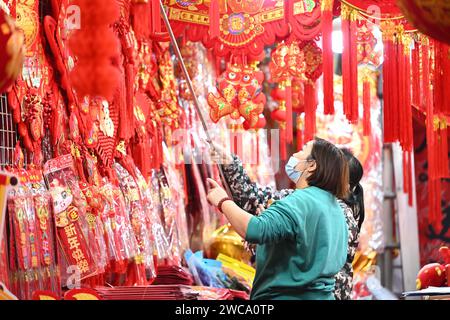Nanning, Cina. 15 gennaio 2024. La gente sta comprando lanterne e altri ornamenti mascotte con elementi di drago in una tradizionale strada cinese per lo shopping di Capodanno a Nanning, in Cina, il 14 gennaio 2024. (Foto di Costfoto/NurPhoto) credito: NurPhoto SRL/Alamy Live News Foto Stock
