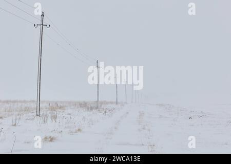 Una fila di pali di servizio in piedi in un campo innevato. Georgia, Paravani Lake Foto Stock