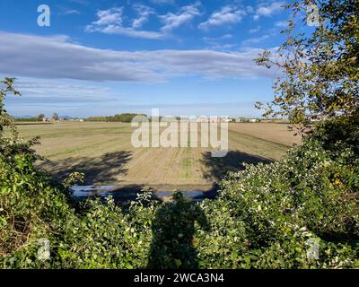 Riprese mozzafiato della pittoresca campagna della Pianura Padana sotto un cielo azzurro. Foto Stock