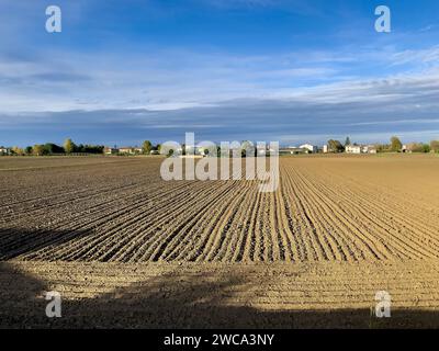 Riprese mozzafiato della pittoresca campagna della Pianura Padana sotto un cielo azzurro. Foto Stock