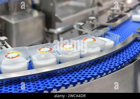 Trasferimento di scatole per prodotti alimentari su sistemi di trasporto automatizzati automazione industriale per imballaggio Foto Stock