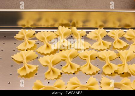 Produzione di pasta fatta in casa - spaghetti italiani (Farfalle) in fai da te - primo piano di pasta fatta a mano in un piatto di metallo Foto Stock