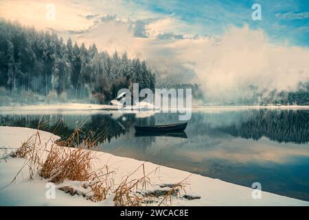 Un lago invernale con una piccola isola nella foresta la mattina presto Foto Stock