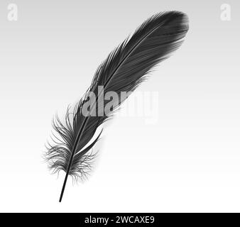 Illustrazione vettoriale realistica con sfumatura nera singola su sfondo bianco. Elemento di progettazione 3d Dark Crow quill. Immagine della parte di piumaggio di uccelli morbidi Illustrazione Vettoriale