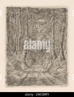 Foresta lungo una strada cava, Marie Adolphine van der Goes of Dirxland, 1854 - 1878 carta stampata che incide il sentiero o la corsia forestale. portare qualcosa sulla testa o sulle spalle Foto Stock