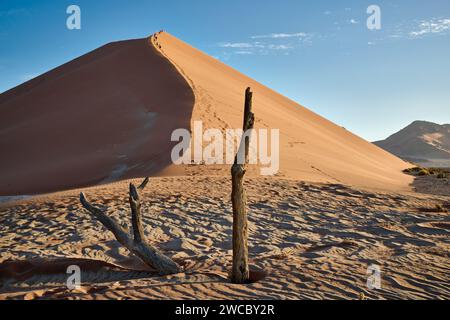 Gruppo di turisti che si arrampicano sulle dune di sabbia del deserto del Namib sotto il forte vento che soffia, Namibia, Africa Foto Stock