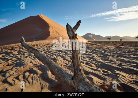 Gruppo di turisti che si arrampicano sulle dune di sabbia del deserto del Namib sotto il forte vento che soffia, Namibia, Africa Foto Stock