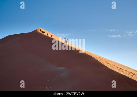 Gruppo di turisti che si arrampicano sulle dune di sabbia del deserto del Namib sotto il forte vento che soffia, Namibia, Africa Foto Stock