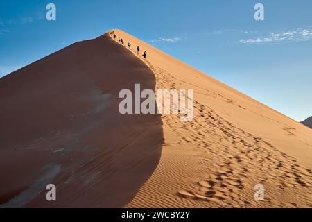 Gruppo di turisti che si arrampicano sulle dune di sabbia del deserto del Namib sotto il forte vento che soffia, Namibia, Africa Foto Stock